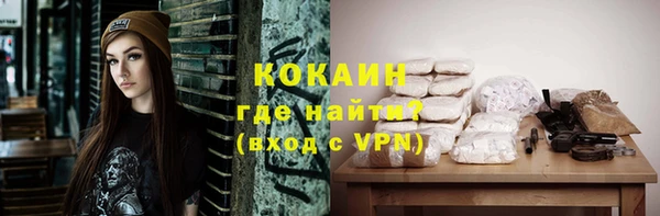 ешки Корсаков