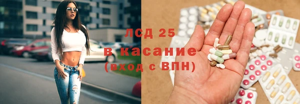 ешки Корсаков