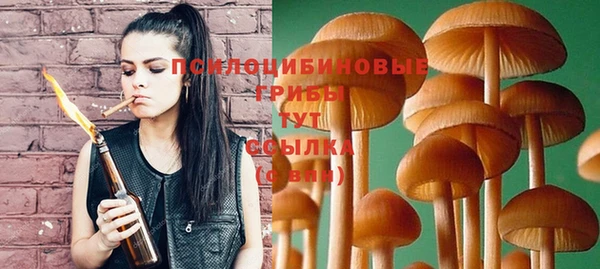 таблы Костерёво