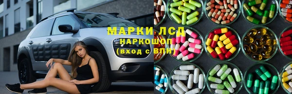 ешки Корсаков