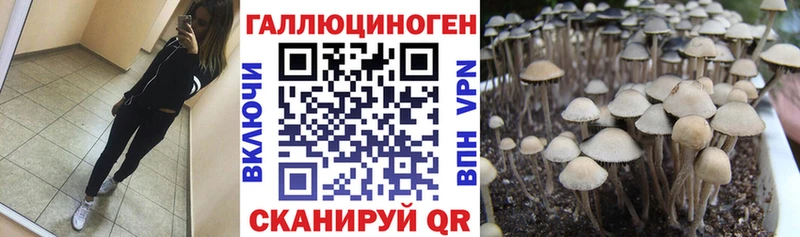 Галлюциногенные грибы Psilocybe  Купить закладки  Озёрск 